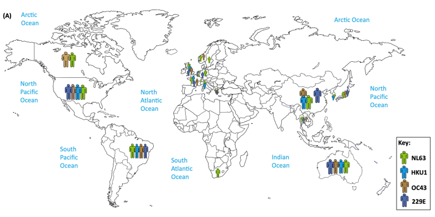 Figure 2A. Global Distribution of Human Coronaviruses. (Su, Shuo, et al., 2016)