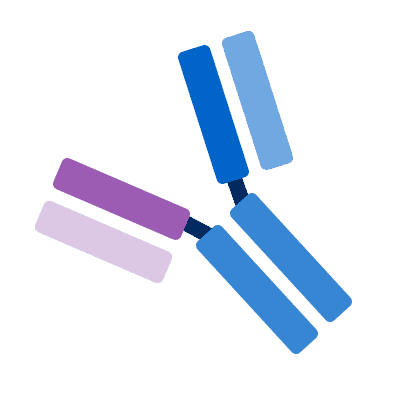Fig.4 Antibody resource. (Creative Biolabs Original)