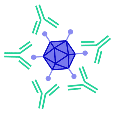 Protocol & 
Troubleshooting & Guide