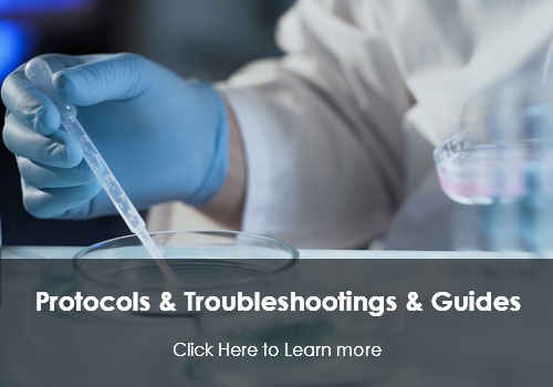 Protocols & Troubleshootings & Guides
