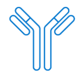 Primary Antibodies