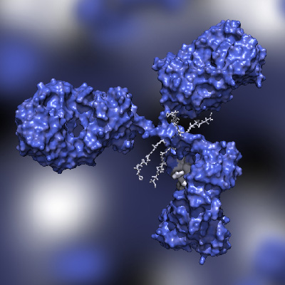 Functional Assay