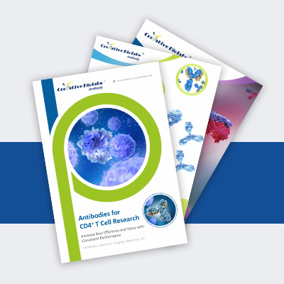 Product Brochures