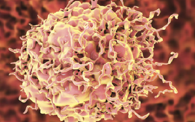 Cancer Research