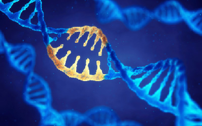Epigenetics