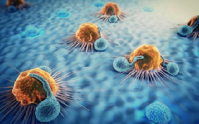 Immunology