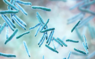 Microbiology