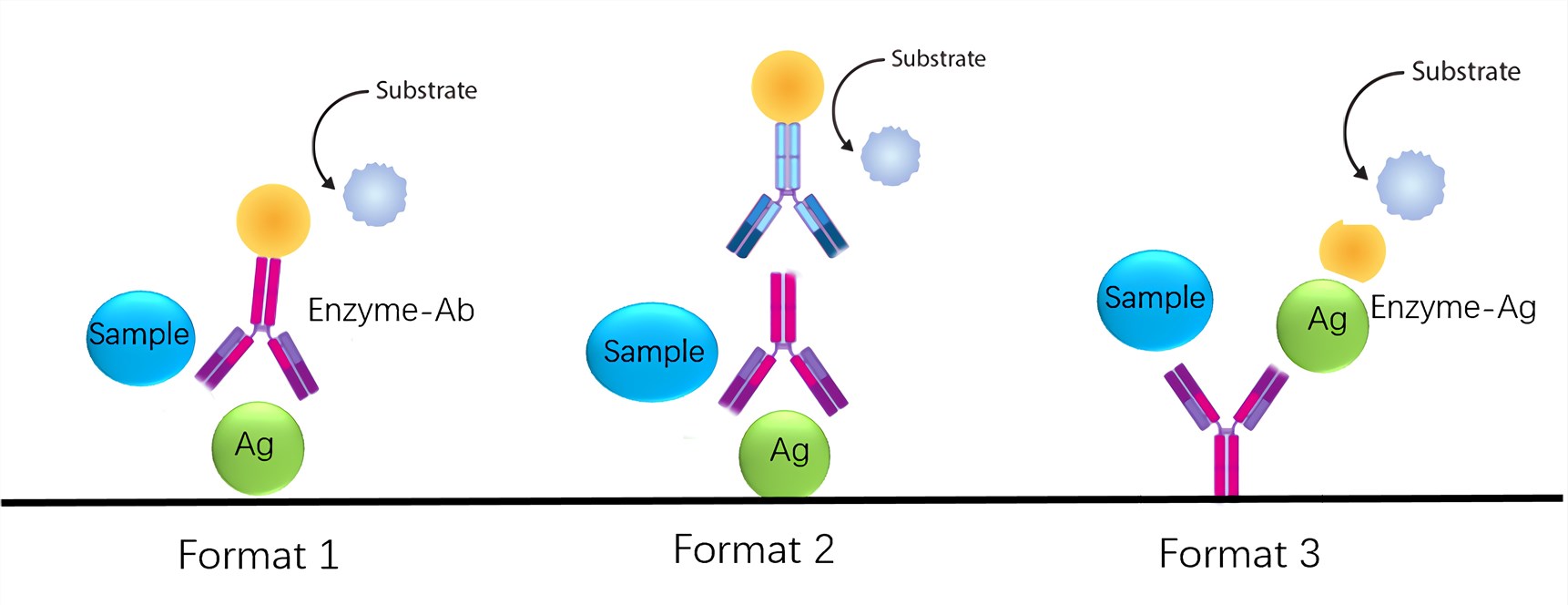 The pattern diagram of antigen detection by competition ELISA.