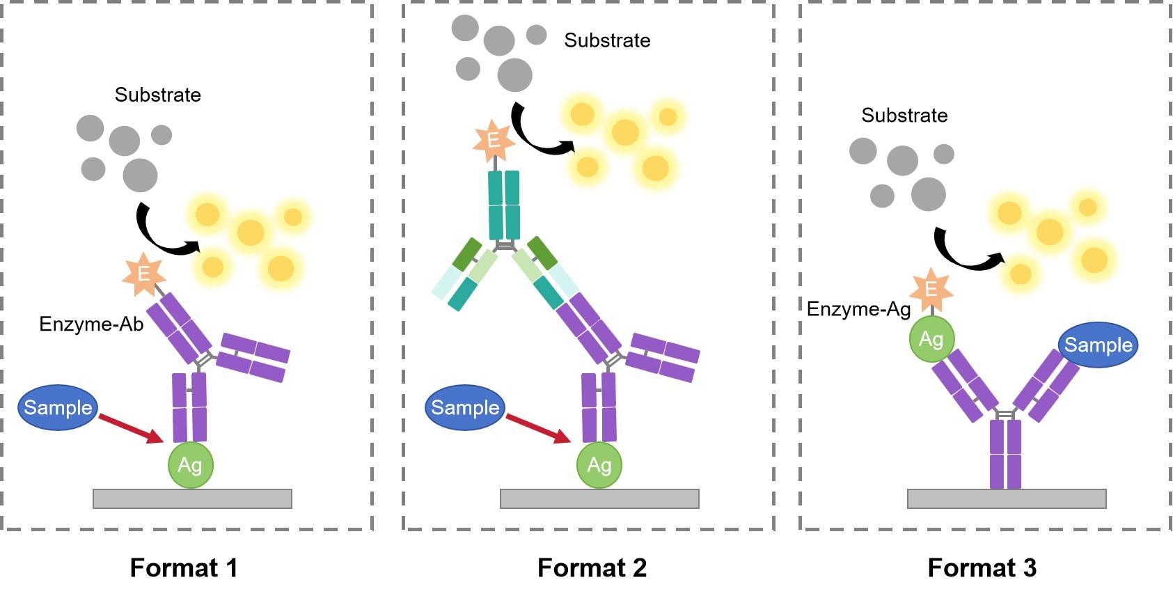 Fig.1 The pattern diagram of antigen detection by competition ELISA. (Creative Biolabs Original)
