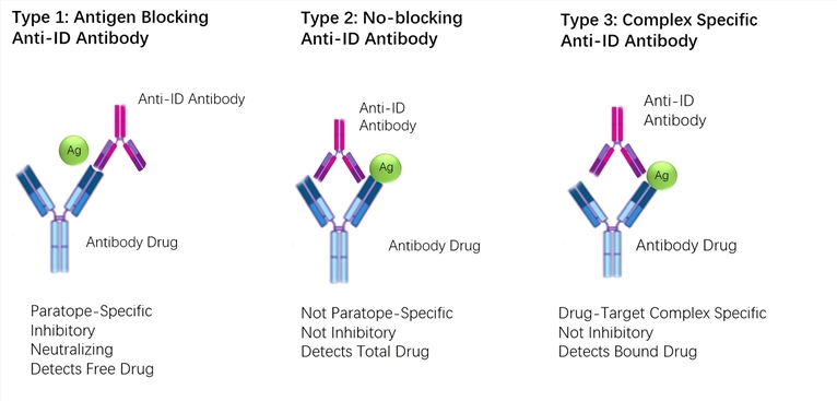 Pharmacokinetic Pk Bridging Elisa Measuring Free Drug Creative Biolabs