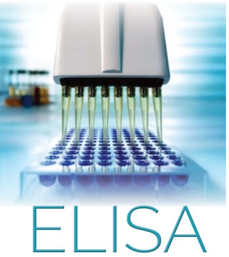 Enzyme-linked Immunosorbent Assay (ELISA)