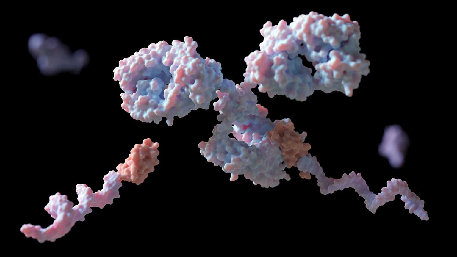 Fig.1 (Creative Biolabs Authorized)