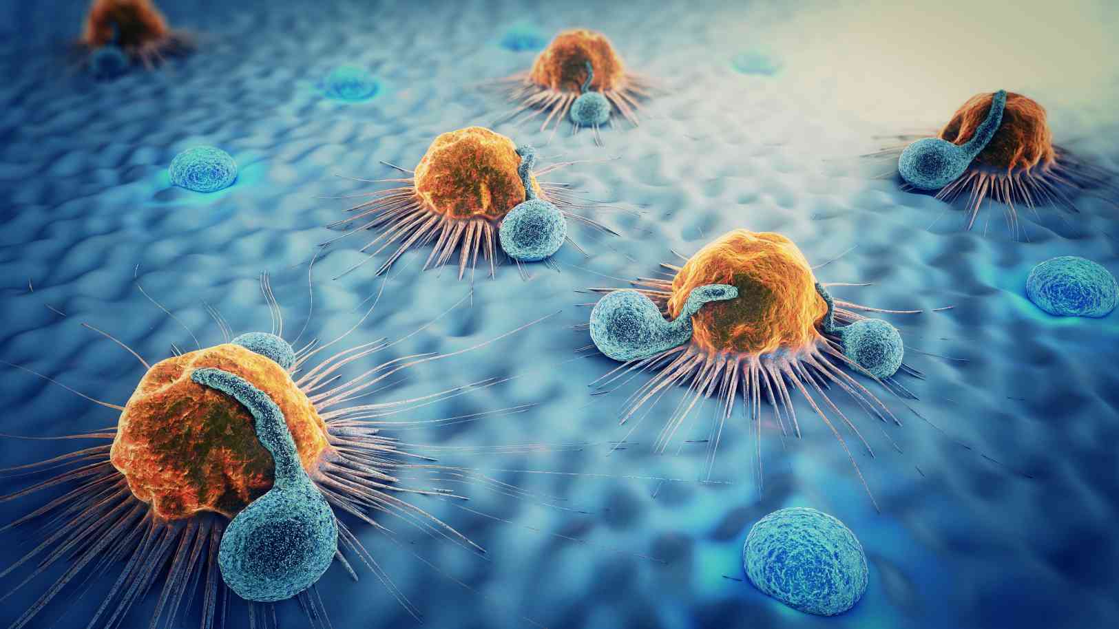 Fig.4 Autoimmune disease. (Creative Biolabs Authorized) 
