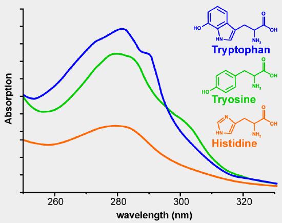 Quantifying protein using absorbance at 280 nm.