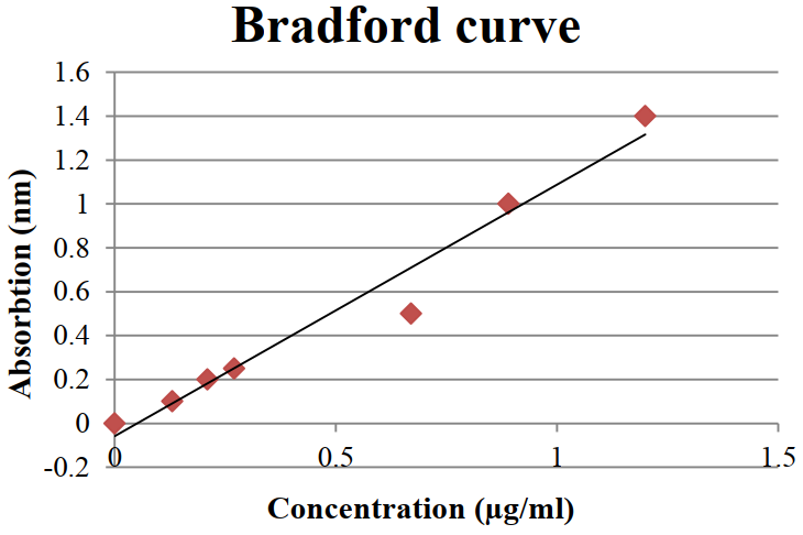 Standard Bradford curve for protein concentration determination.