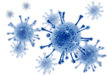 Influenza virus