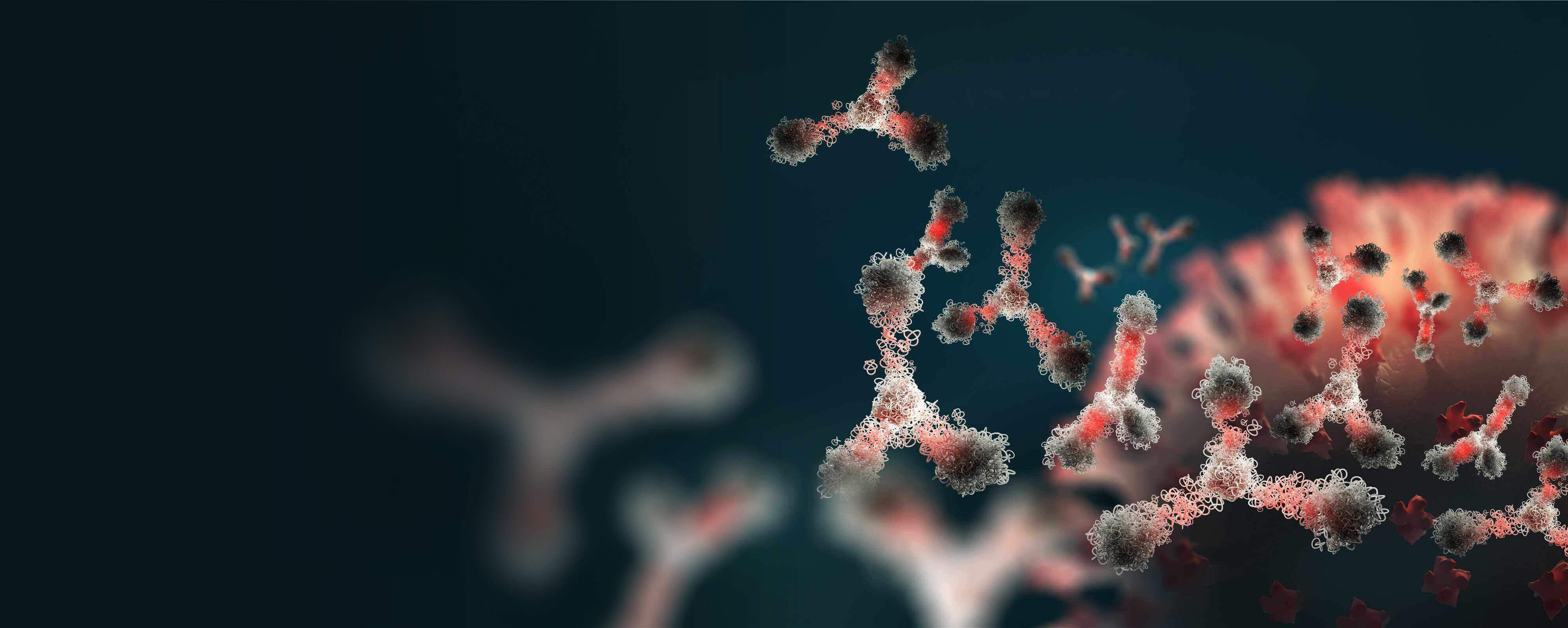 Integrated Antibody Services - Creative Biolabs