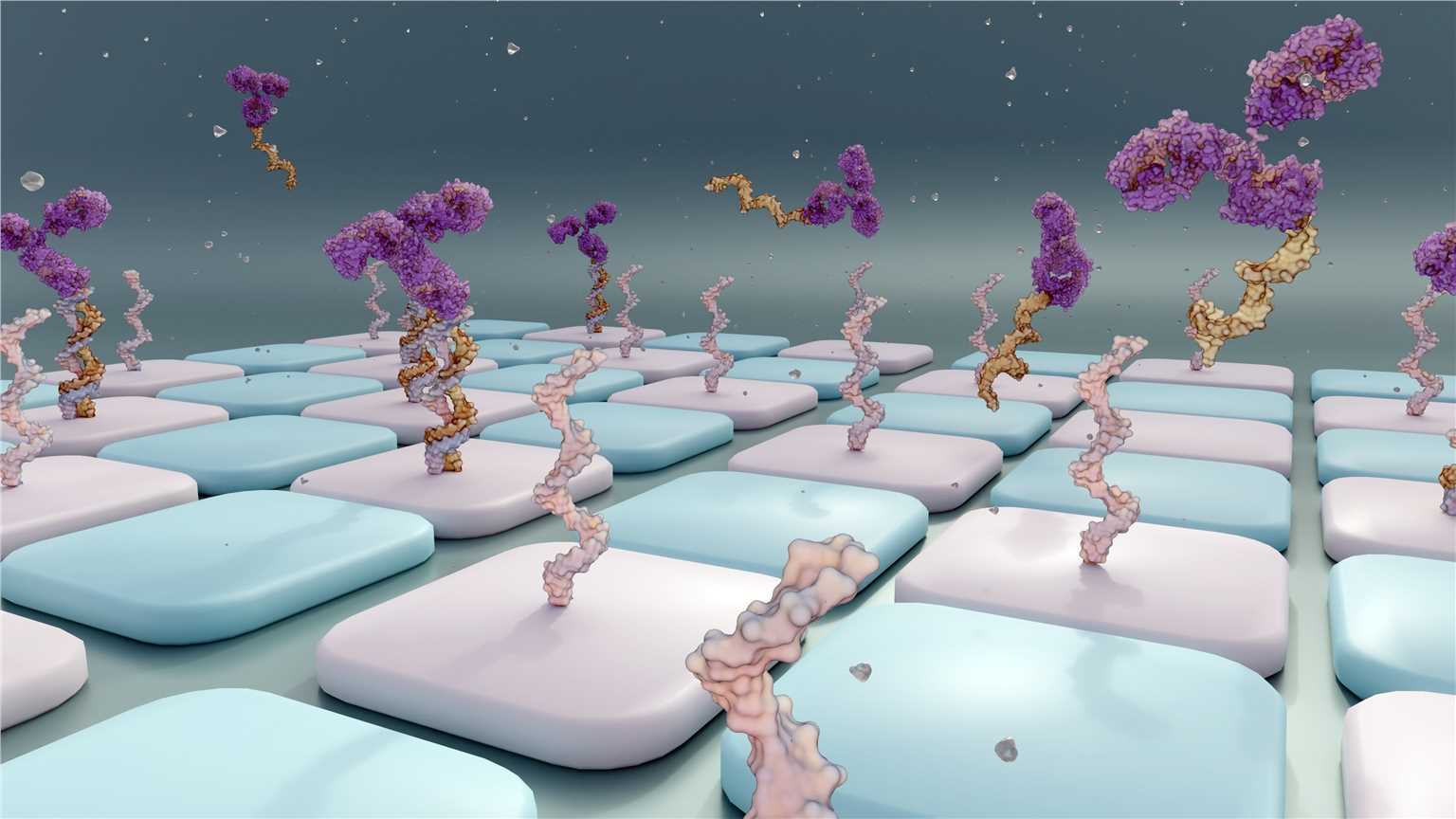 Antibody Array Analysis