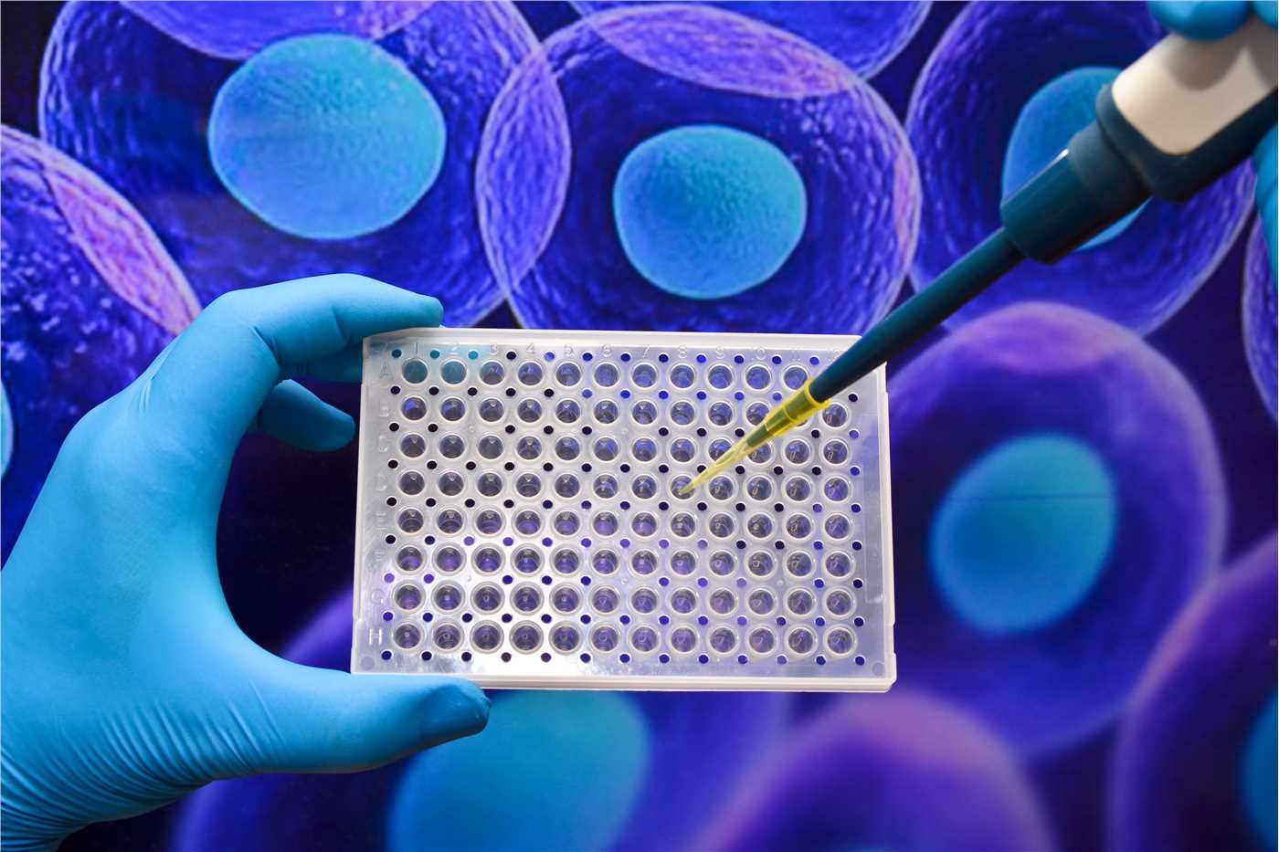 Custom Immunoassay