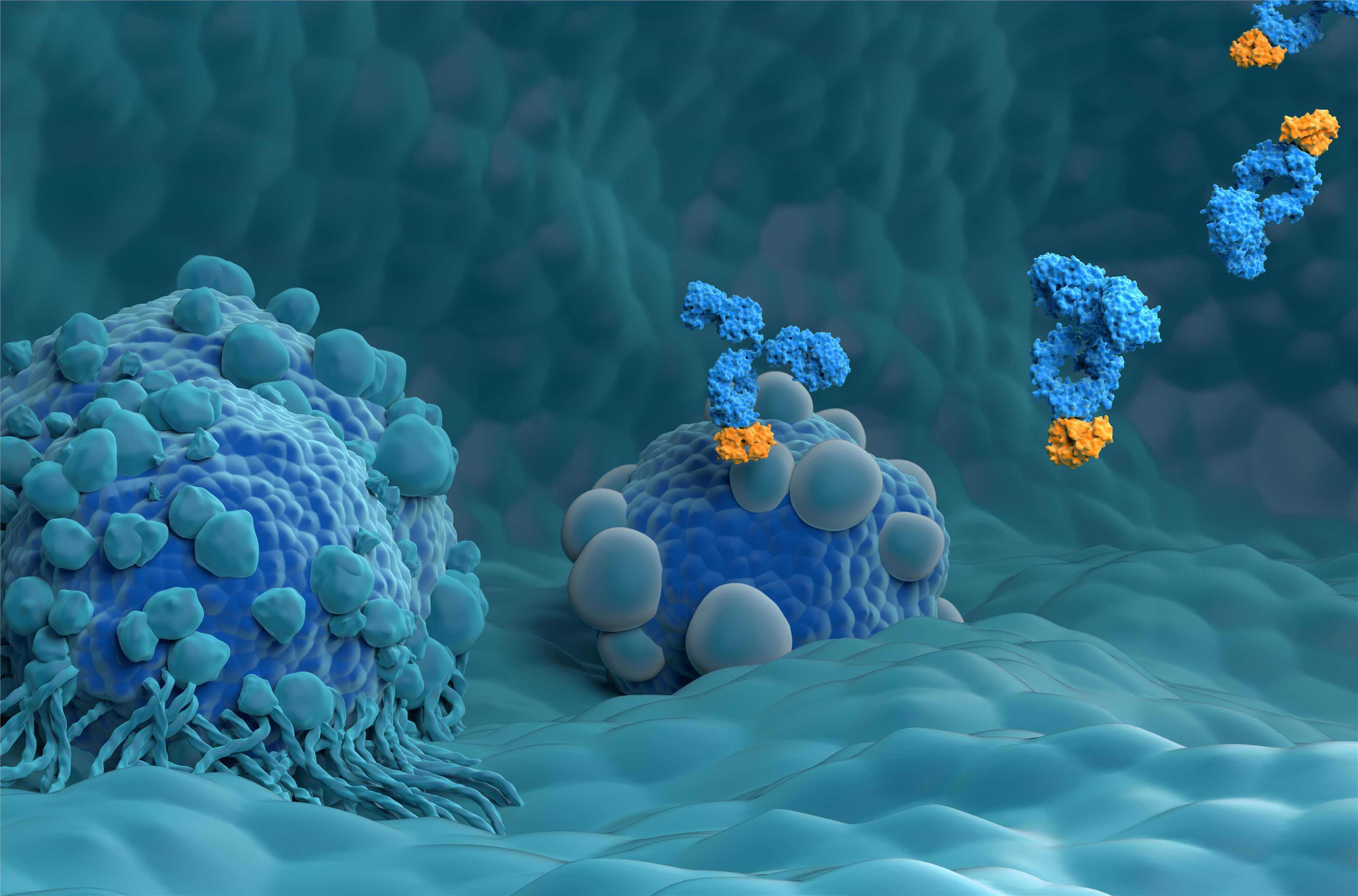 Fig.1 (Creative Biolabs Authorized)