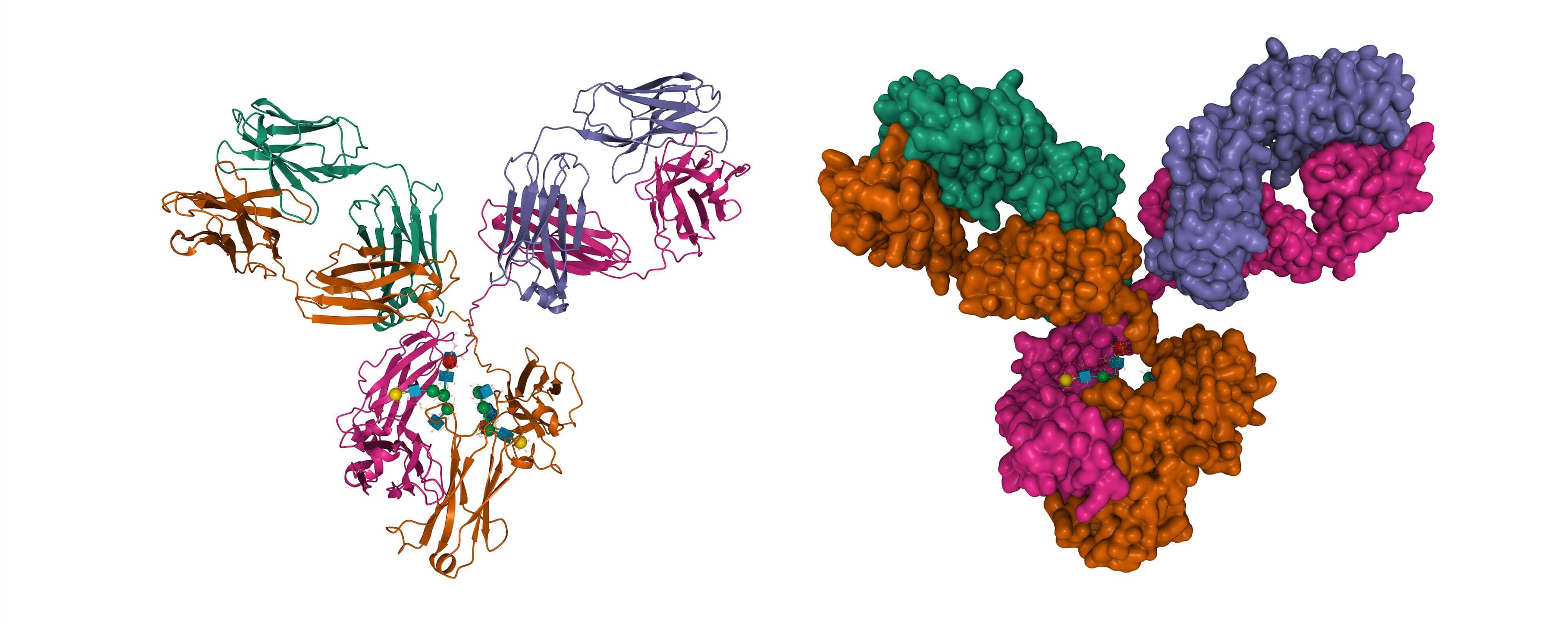 Fig.1 (Creative Biolabs Authorized)