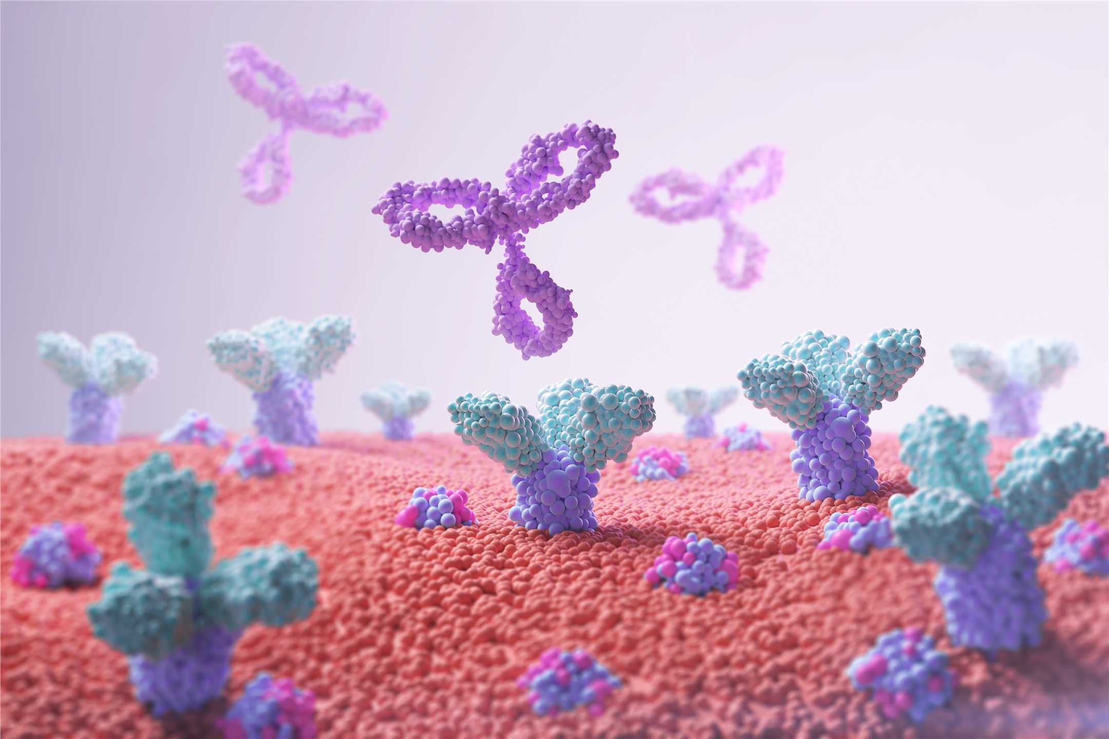 Fig.1 (Creative Biolabs Authorized)