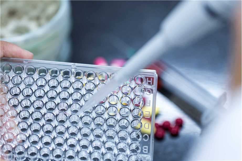 Fig.1 (Creative Biolabs Authorized)