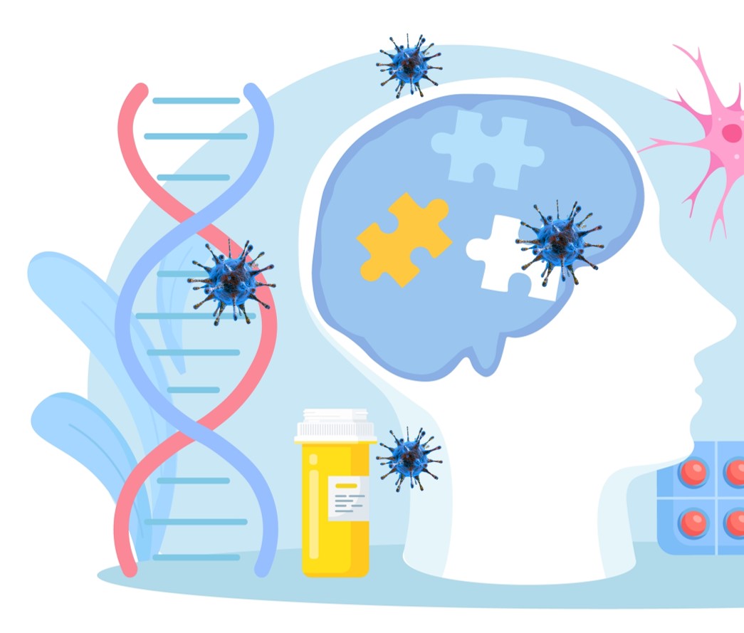 HSV-1 infection in Alzheimer's Disease. (Creative Biolabs Original)