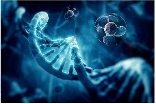 Fig.1 (Creative Biolabs Authorized)