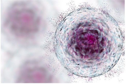 Fig.2 (Creative Biolabs Authorized)
