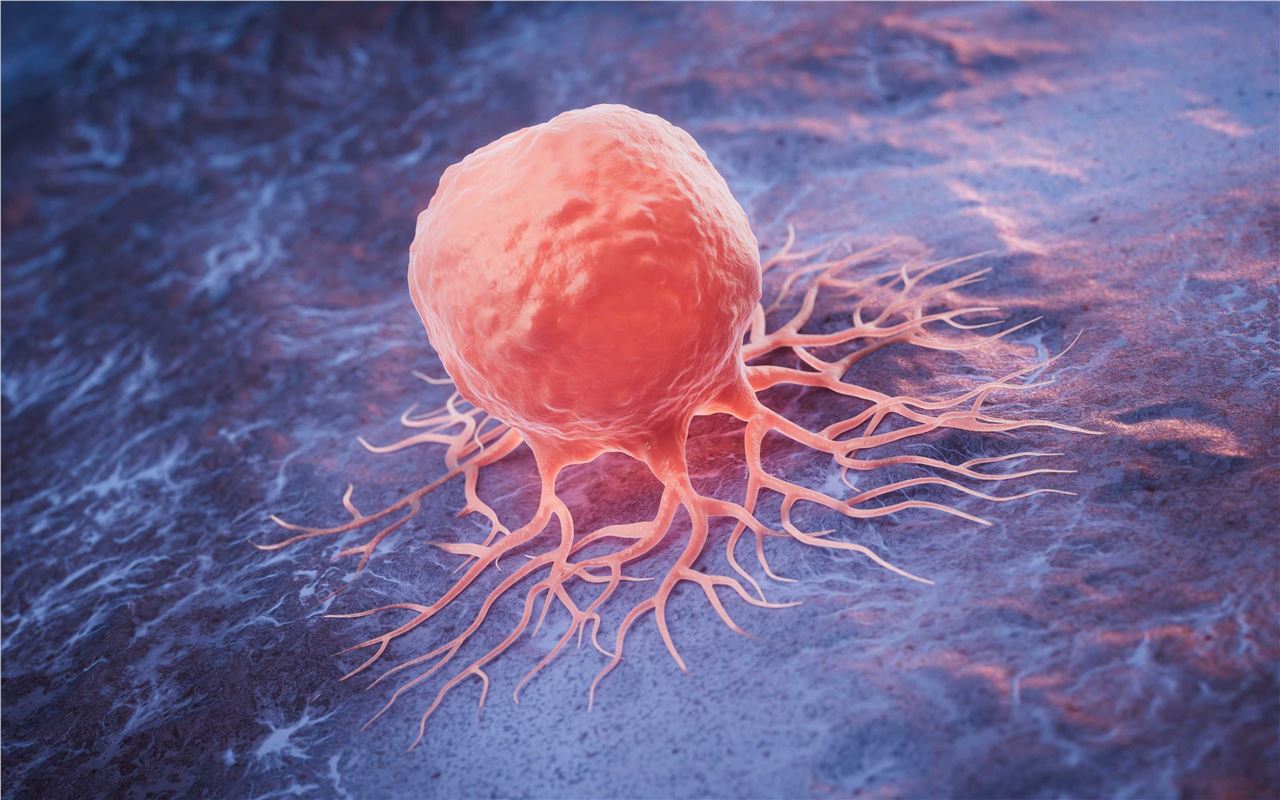 Fig.4 (Creative Biolabs Authorized)