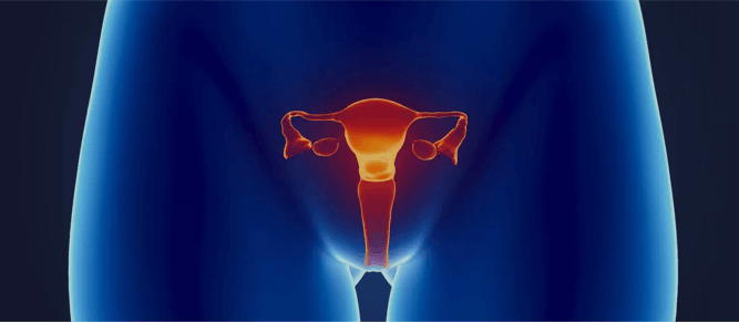 Cervical Cancer Overview - Signaling Pathway