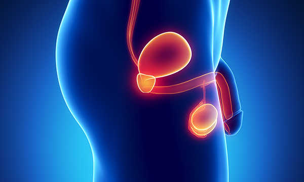 Testicular Cancer Overview - Signaling Pathway