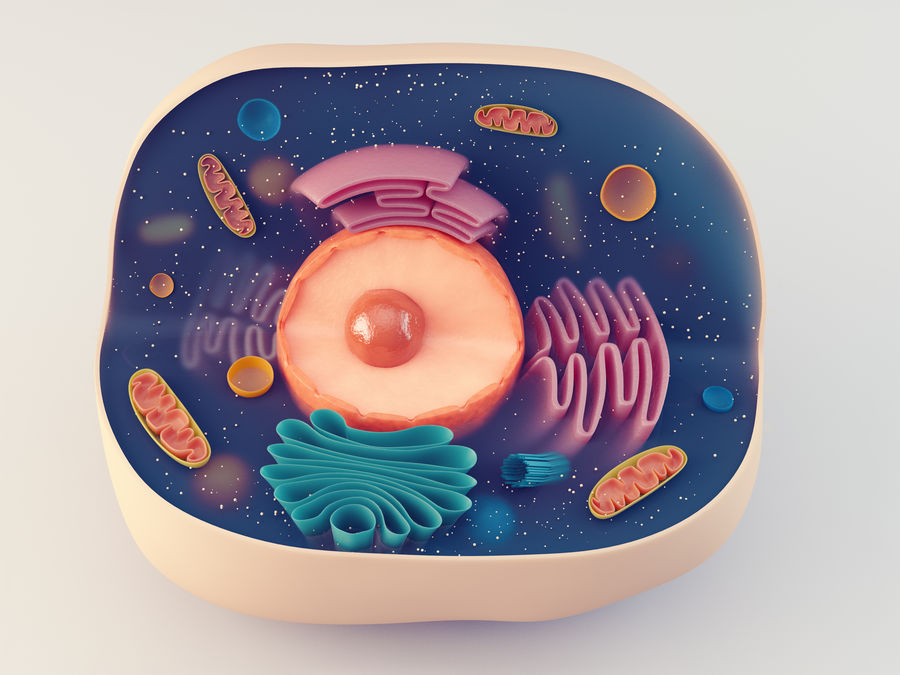 Fig.1 (Creative Biolabs Authorized)