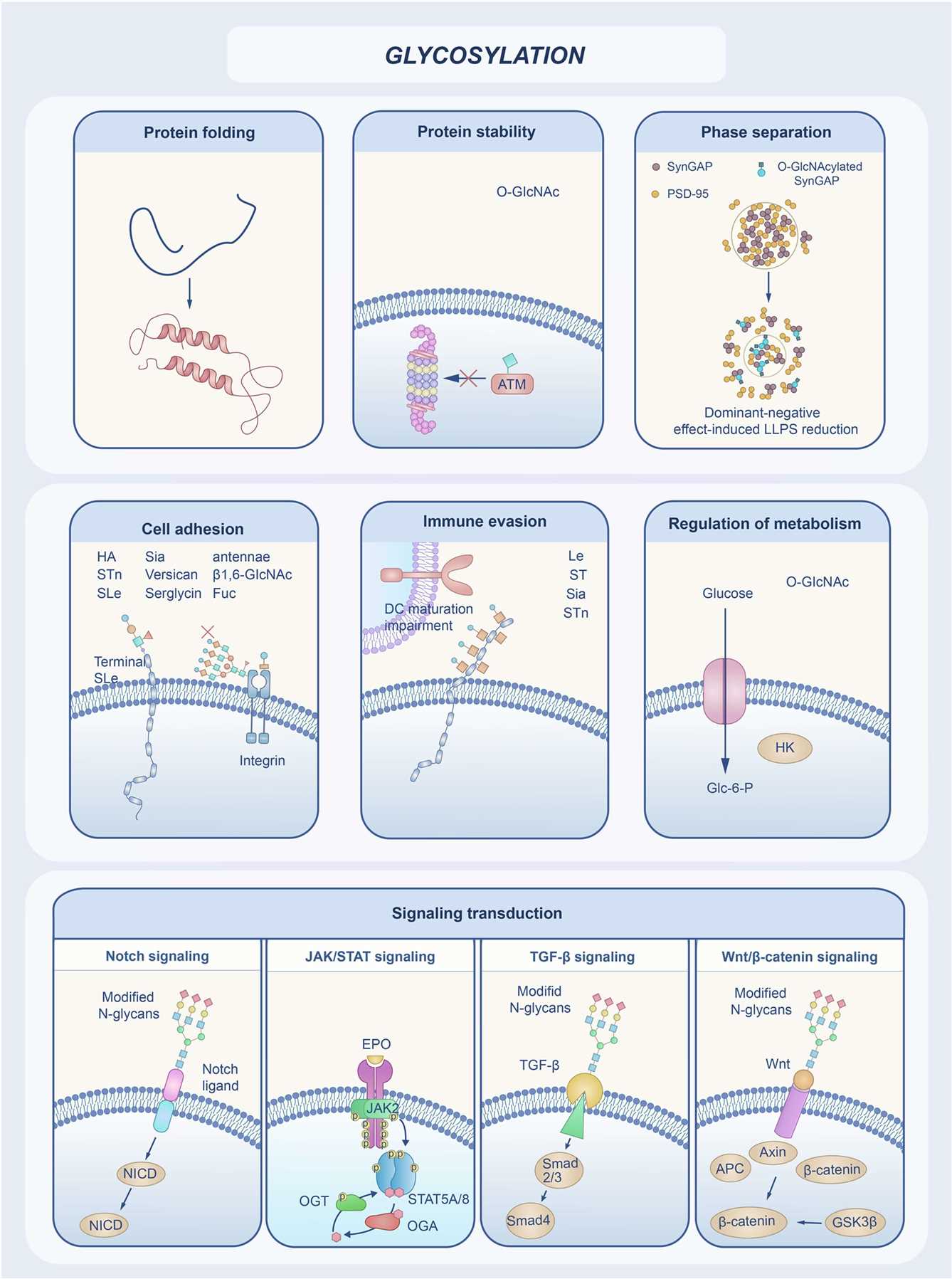 Functional landscape of glycosylation in biological systems. (OA Literature)