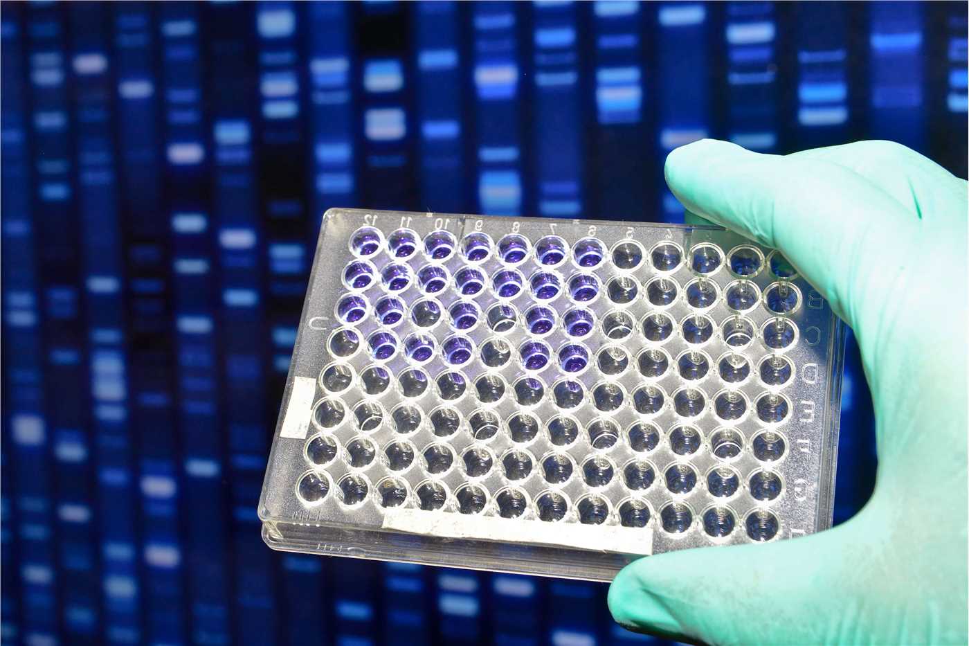 (Creative Biolabs Authorized)