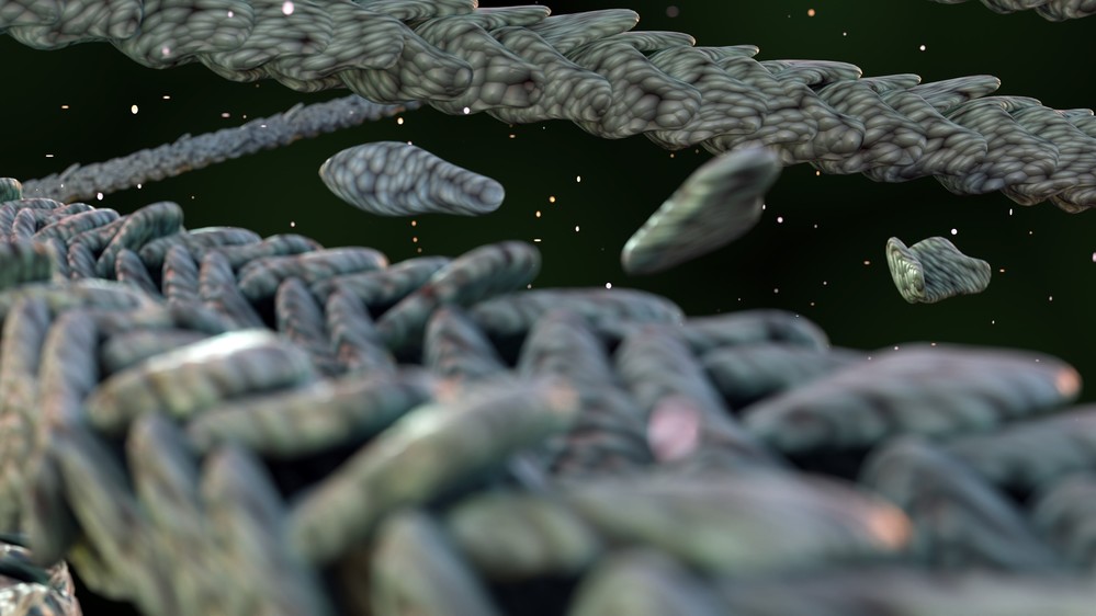 Cytoskeleton and cell adhesion illustration for antibody research (Creative Biolabs Authorized)