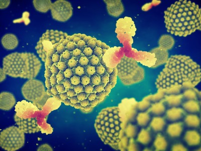 Fig.1 Antibodies for cancer research. (Creative Biolabs Authorized)