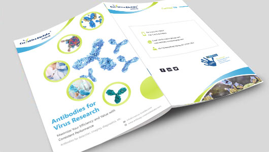 Antibodies for Virus Research