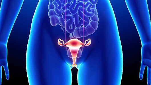 Endometrial Cancer Overview - Signaling Pathway