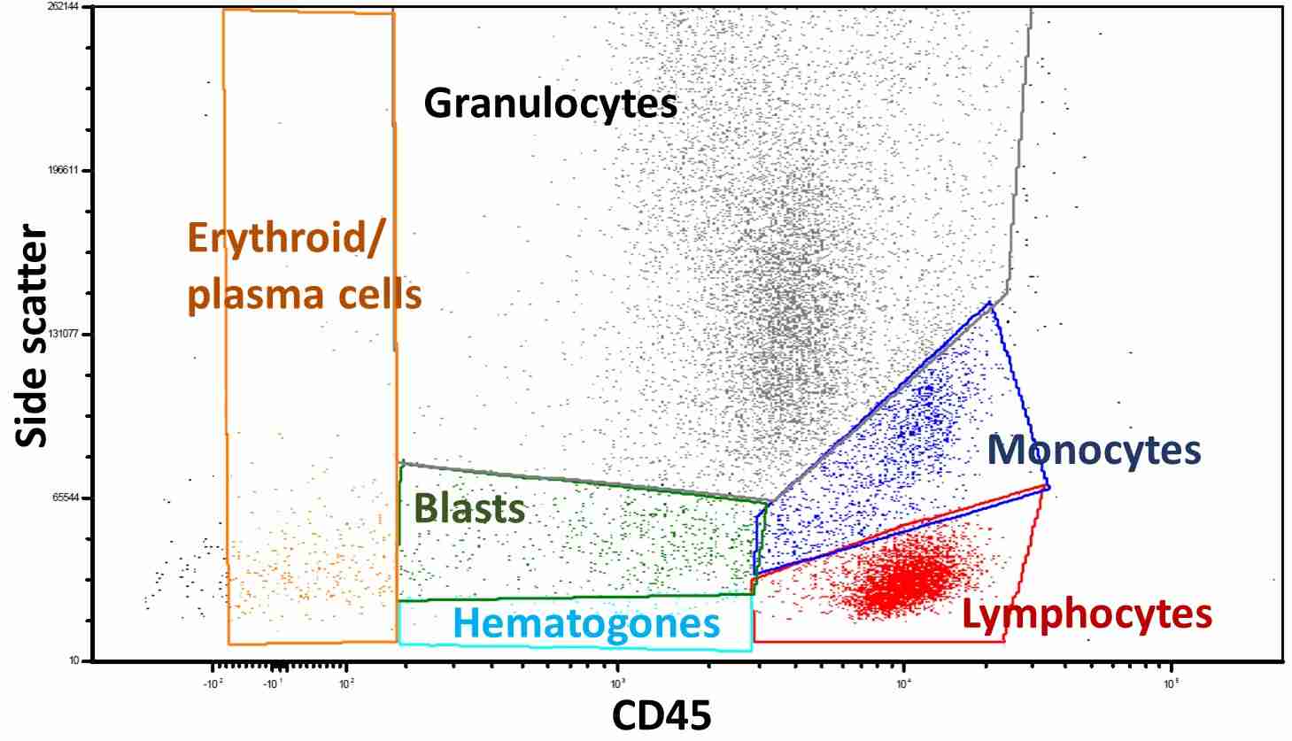 Flow Cytometry