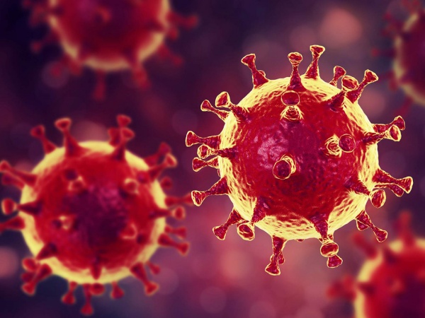 Novel Coronavirus (SARS-CoV-2) Diagnostic Test Kits