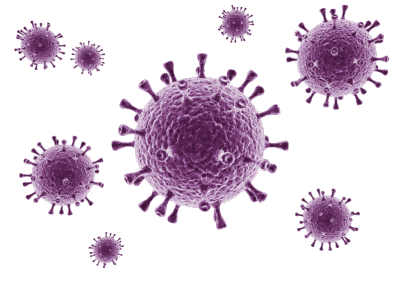 Novel Coronavirus (SARS-CoV-2) Diagnostic Test Kits