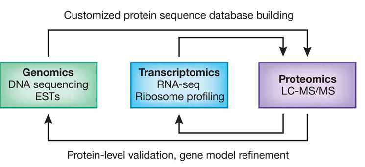 The concept of proteogenomics.