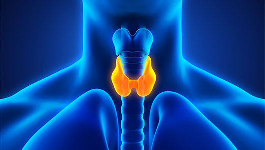 Thyroid Cancer Overview - Signaling Pathway