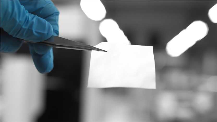 western blot test for dummies western blot test for dummies