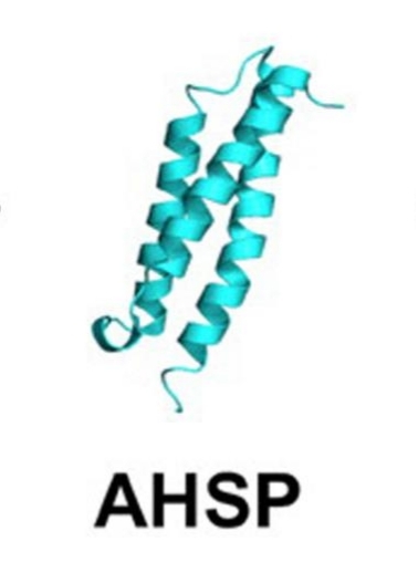 Fig. 1:The structure of AHSP.