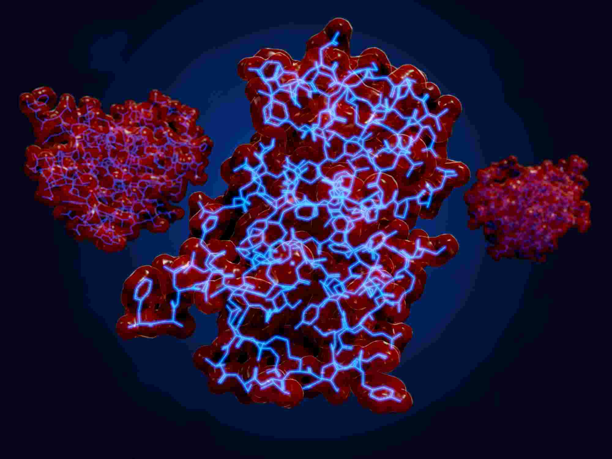 Fig.1 Antigens. (Creative Biolabs Authorized)