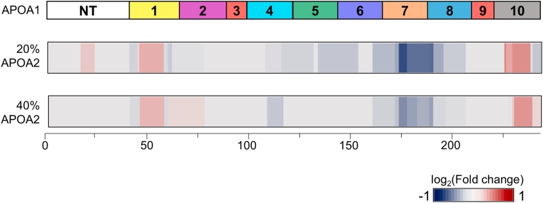 Fig. 1:Structural changes in APOA1 in the presence of exogenous APOA2.