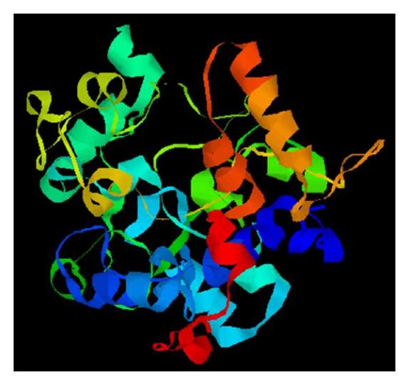 Fig. 1:Protein models of BSND.